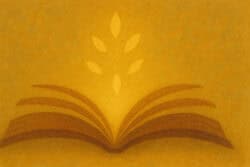 BuchTipps