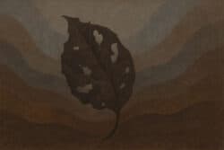 12. Altern/Tod (Jarāmaraṇa)