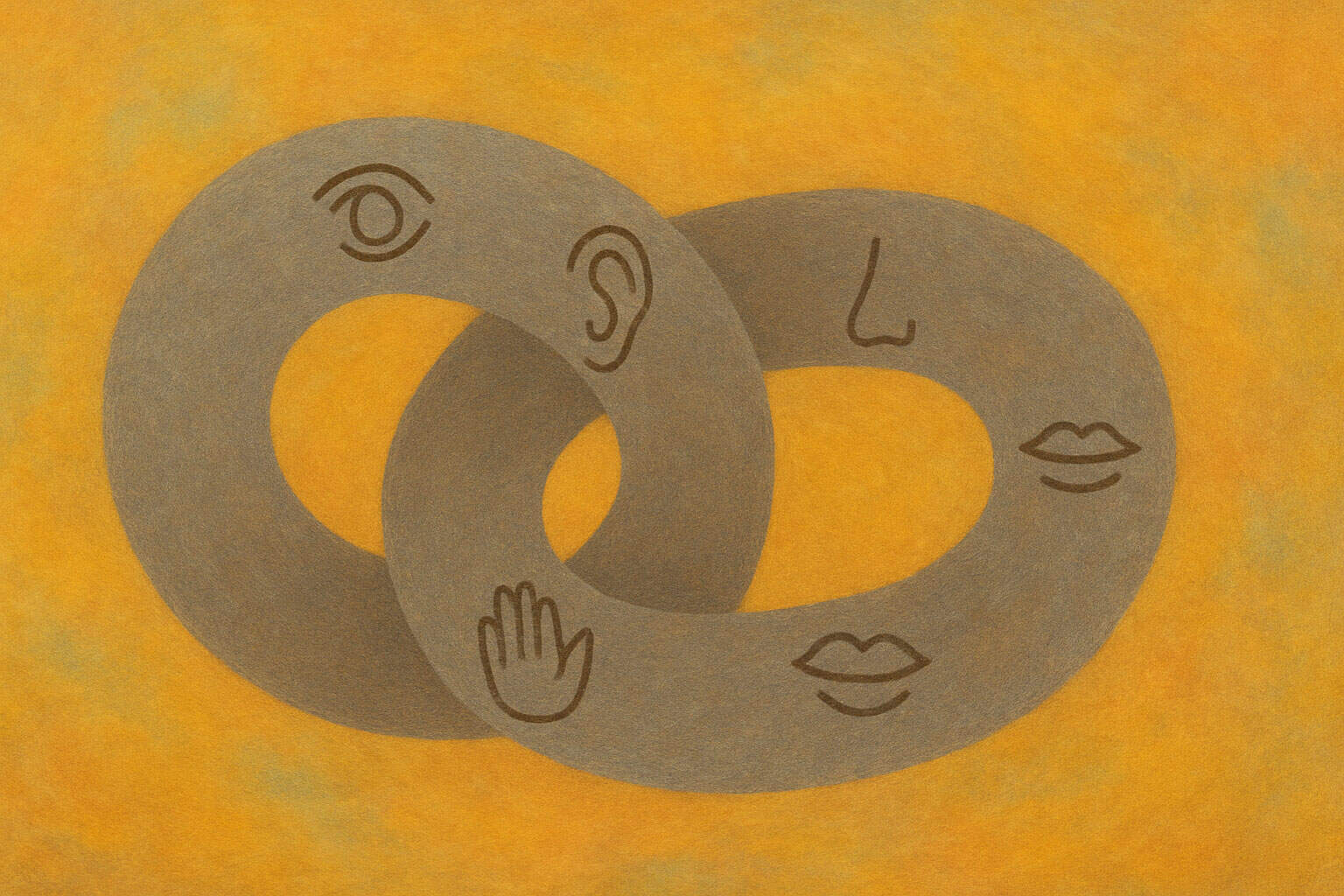 5. 6 Sinne (Saḷāyatana)