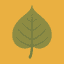 Icon Lernpfad